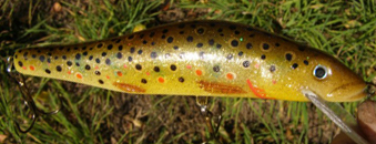 Wobler